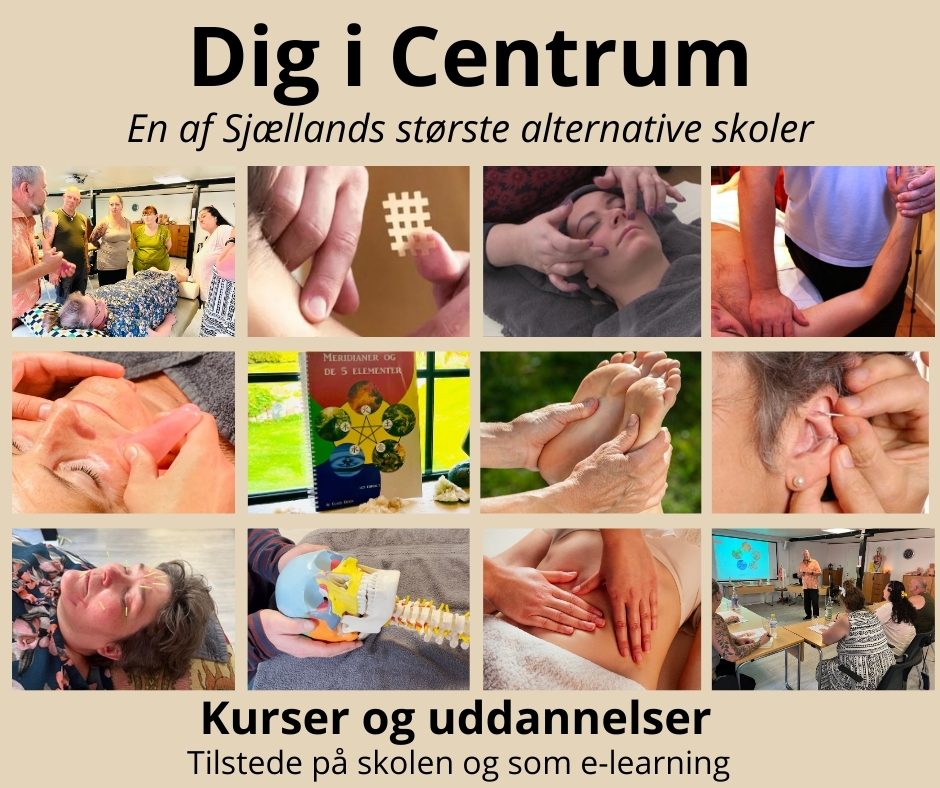 Kurser og uddannelser hos Dig i Centrum