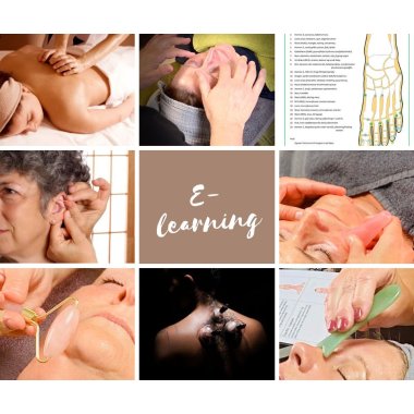 E-learning/selvstudie kurser