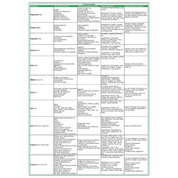 Vitamin  og mineral oversigt  (2 stk.)