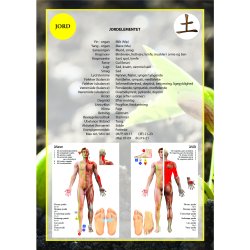 Meridianer og de 5 elementer  - Let fortalt af Claus Olsen - bog (146 sider i ringbind)