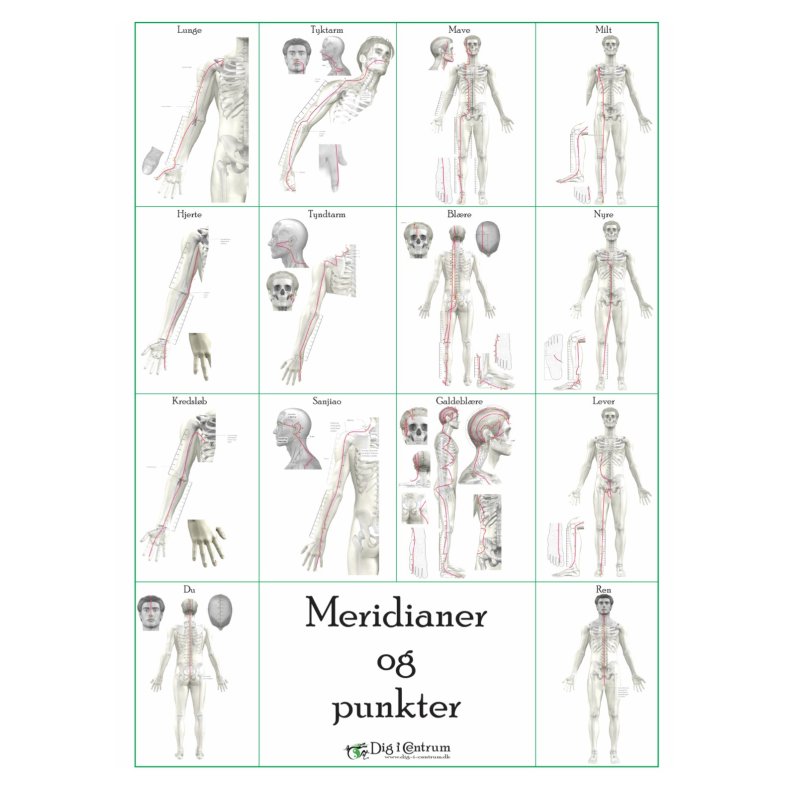 Meridianer &amp; Punkter opslagsbog