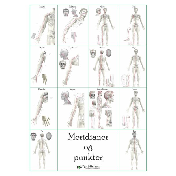 Meridianer &amp; Punkter planche 40 x 60 + opslagsbog