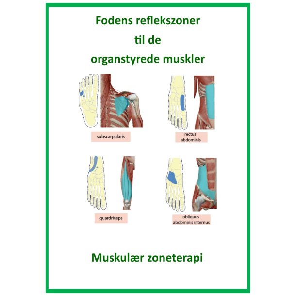 Muskulr zoneterapi opslagsbog