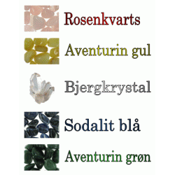 Sten og organerne i 5-elementen