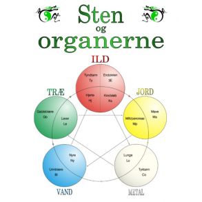 Sten og organerne i 5-elementen