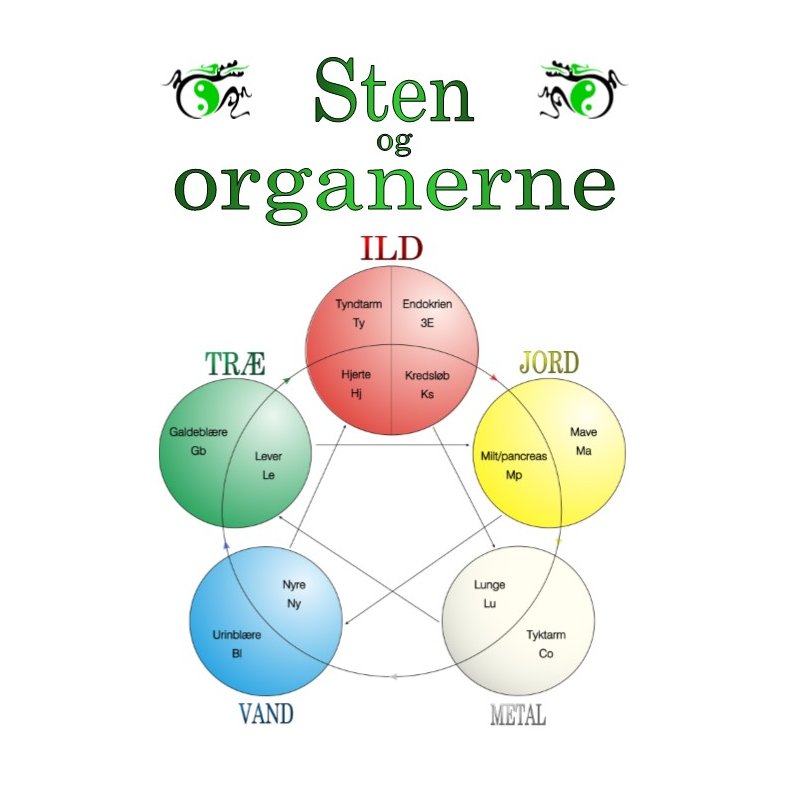 Sten og organerne i 5-elementen