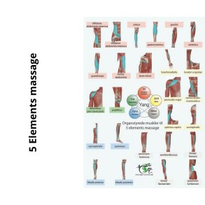 5 Elements massage ogs kaldet TAO YIN/YANG Massage (for-/bagside)