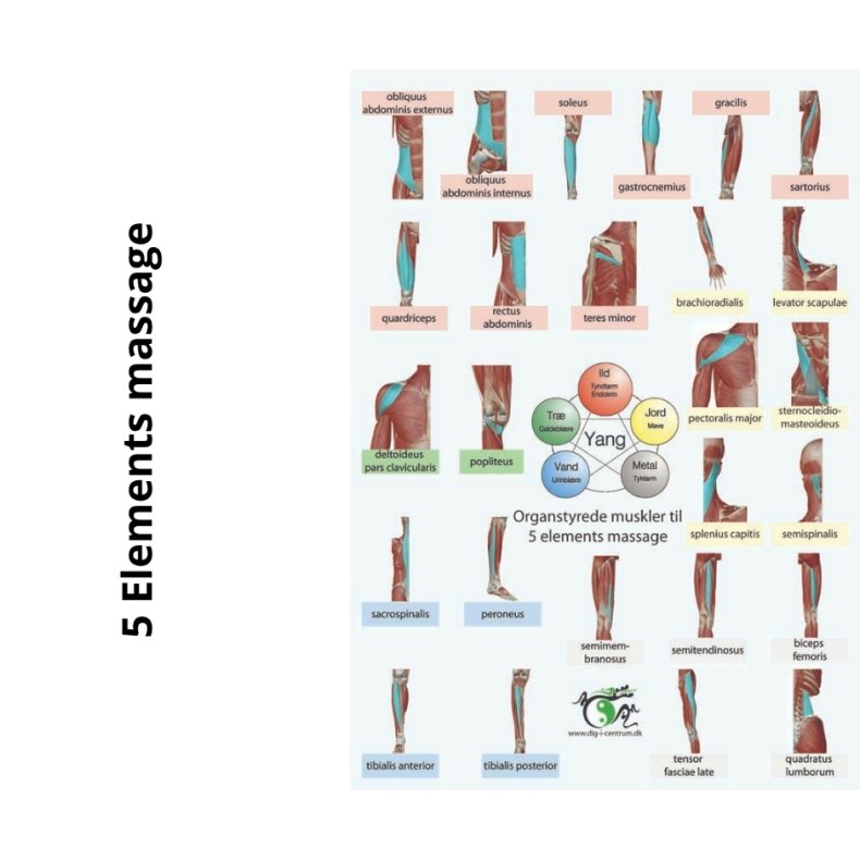 5 Elements massage ogs kaldet TAO YIN/YANG Massage (for-/bagside)