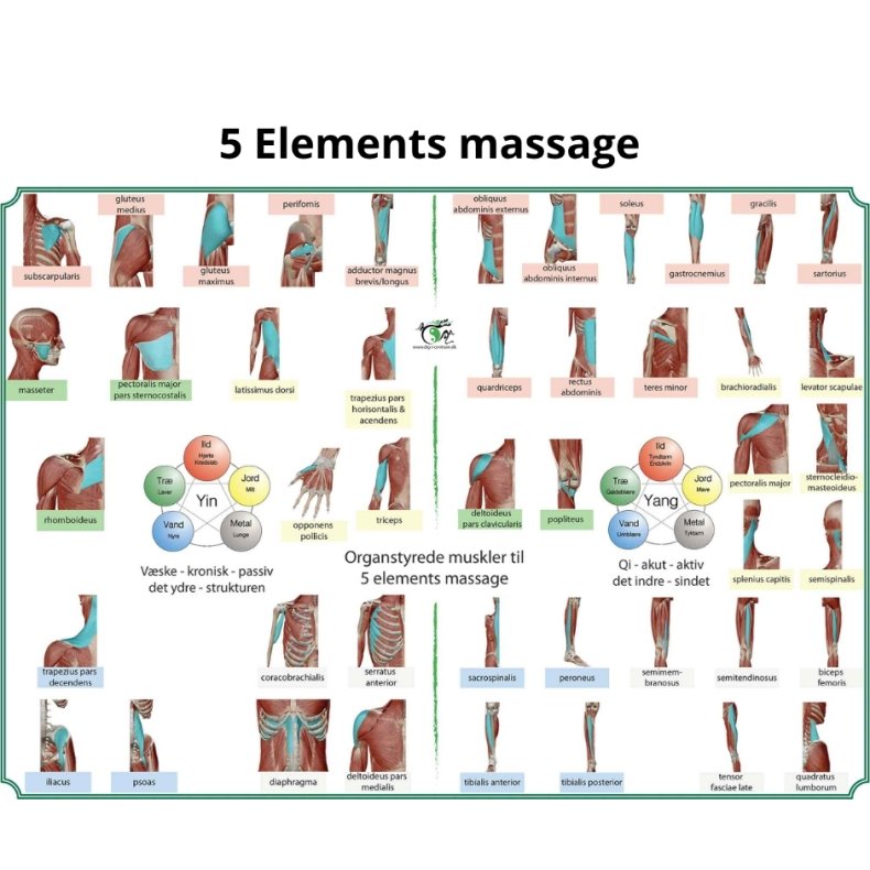 5 Elements massage ogs kaldet TAO YIN/YANG Massage (det hele p 1 side)