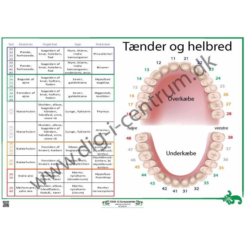 Tnder og helbred