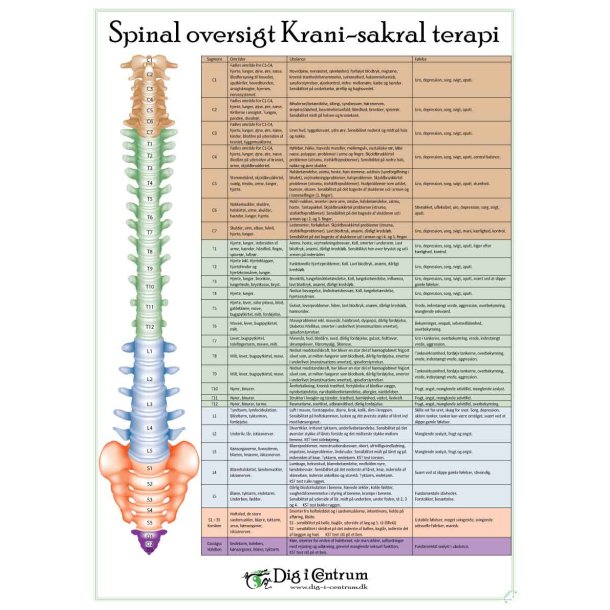 Spinal oversigt Kranio-Sakral Terapi