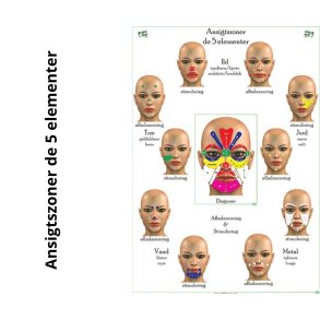 Ansigtszoner. De 5 elementer. 