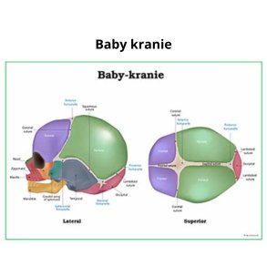 Baby-kranie planche