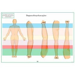 Kropsdiagram � arme &amp; ben (farvekoder)