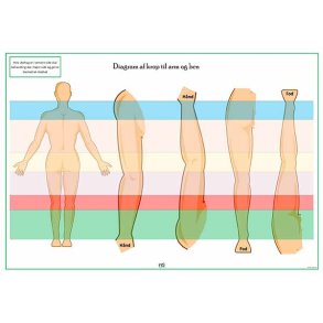 Kropsdiagram � arme & ben (farvekoder)