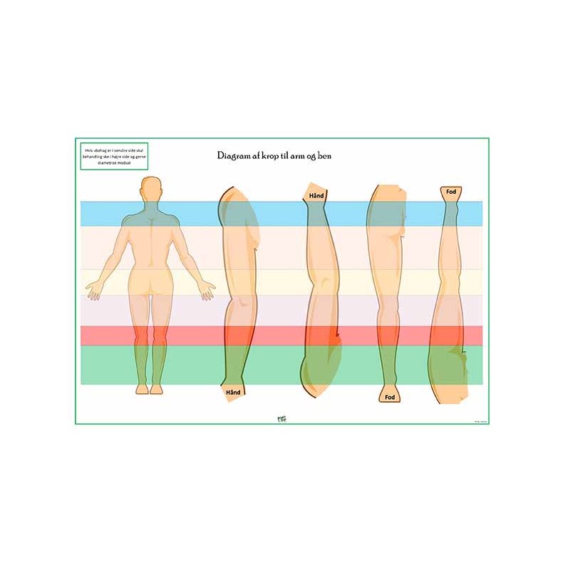 Kropsdiagram � arme &amp; ben (farvekoder)