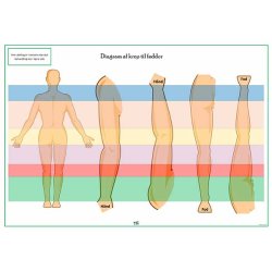 Foddiagram � farvekoder (spejling/reflekszoner)