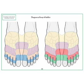 Foddiagram � farvekoder (spejling/reflekszoner)