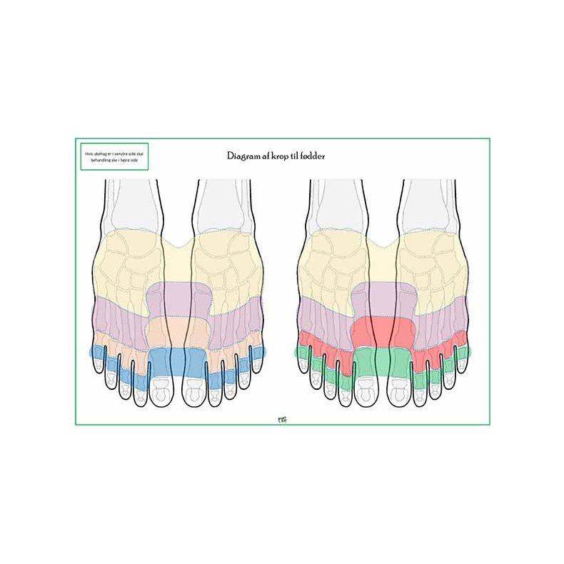Foddiagram � farvekoder (spejling/reflekszoner)