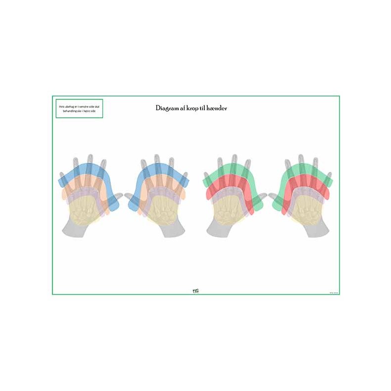 H�nddiagram � farvekoder (spejling/reflekszoner)