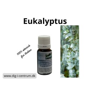 Eukalyptusolie 100% terisk