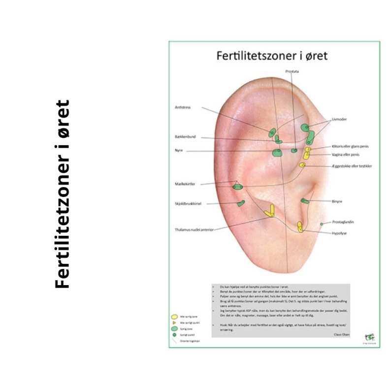 Fertilitetszoner og punkter i ret