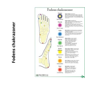 Fodens Chakrazoner