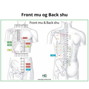 Front mu og Back shu