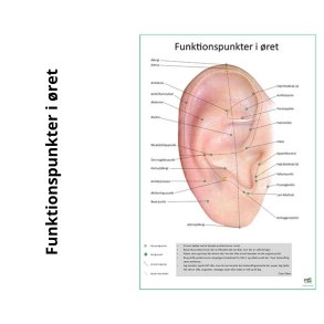 Funktionspunkter i ret
