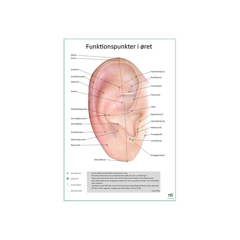 Funktionspunkter i ret