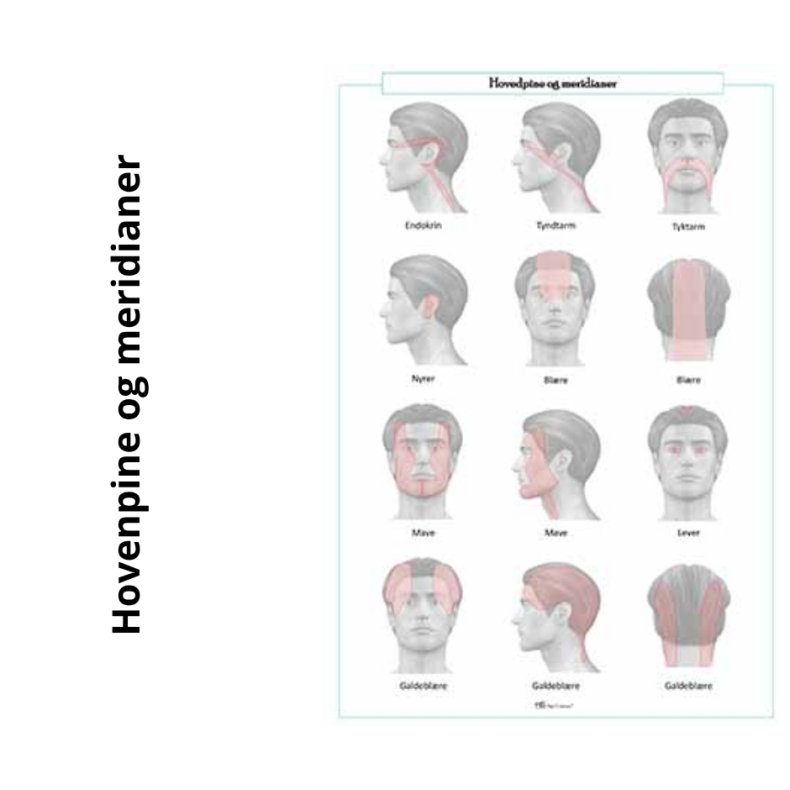 Hovedpine og meridianer 