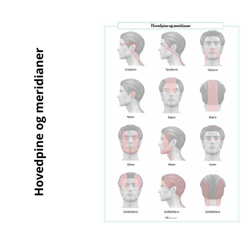 Hovedpine og meridianer 