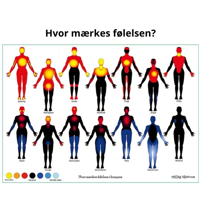 Hvor sidder flelsen i kroppen?