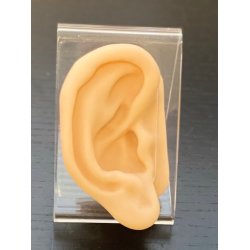 Silikonere (hjre) i holder (9 cm)