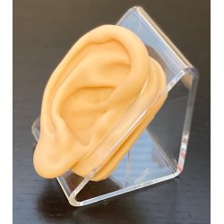 Silikonere (hjre) i holder (9 cm)