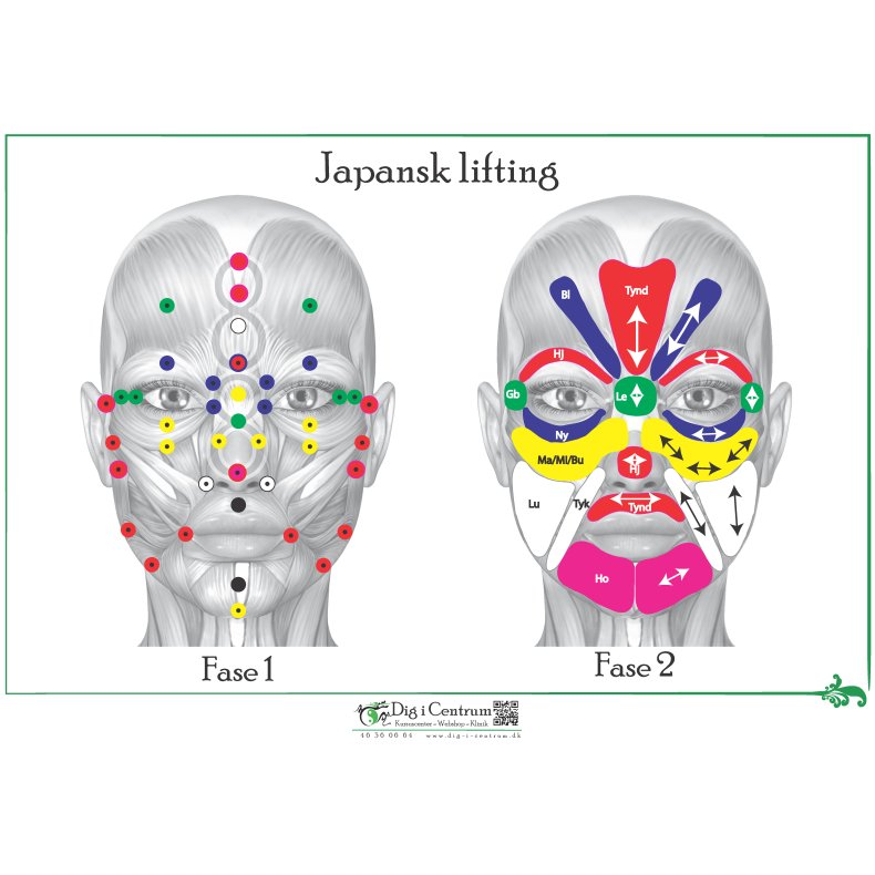 Japansk Liftning