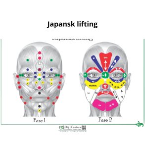 Japansk Liftning