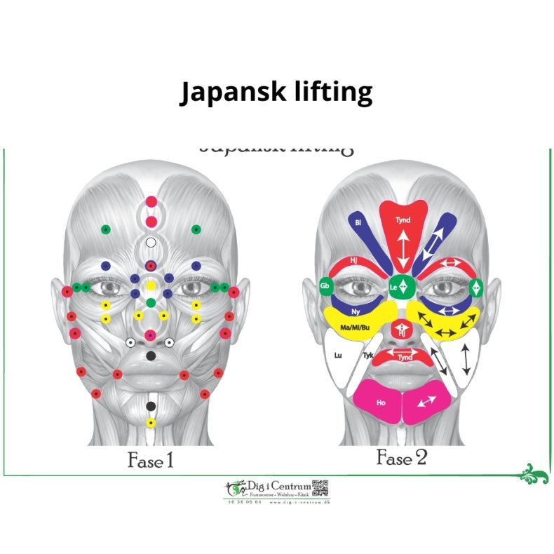 Japansk Liftning