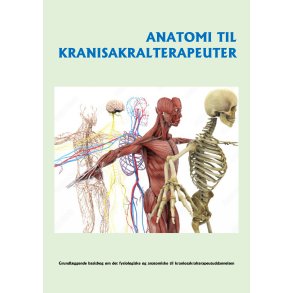 Anatomi til kraniosakralterapeuter