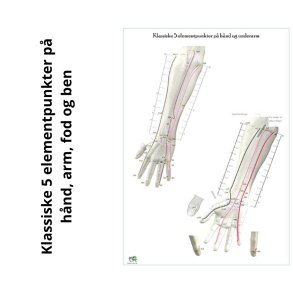 Klassiske 5 elementpunkter p hnd, arm, fod og ben.