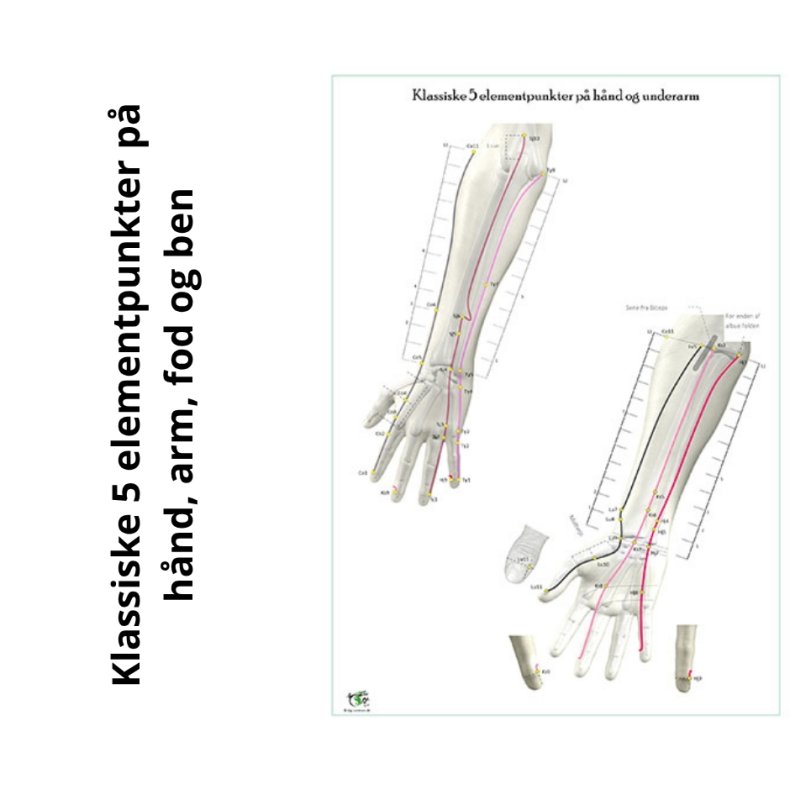 Klassiske 5 elementpunkter p hnd, arm, fod og ben.