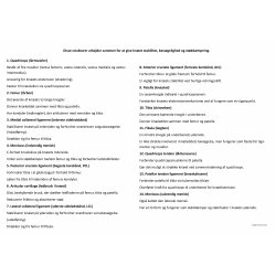 Knets anatomi planche