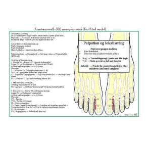 Kranienerver p� foden Karl Lind lamineret planche