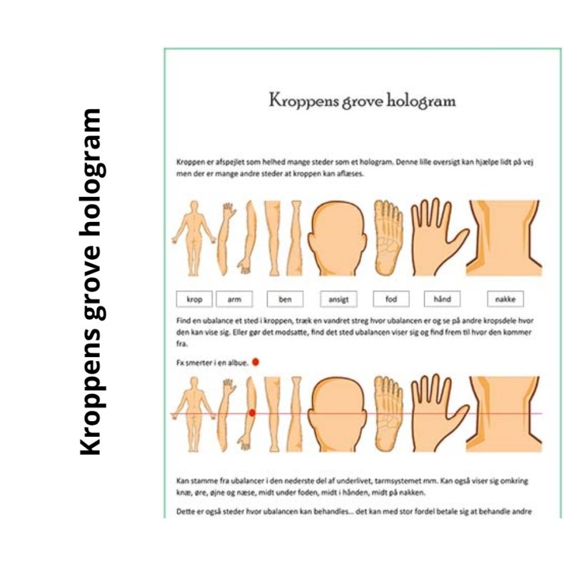 Kroppens grove hologram