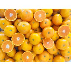 Mandarin 100% terisk olie