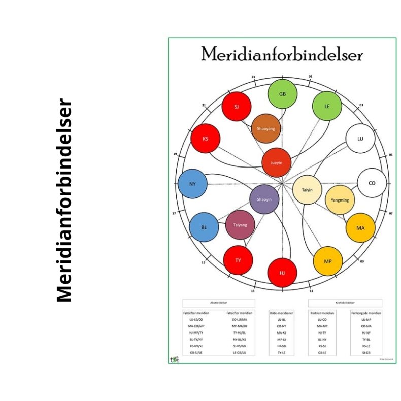 Planche meridian forbindelser