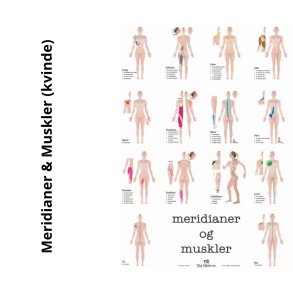 Meridianer & Muskler (kvinde)