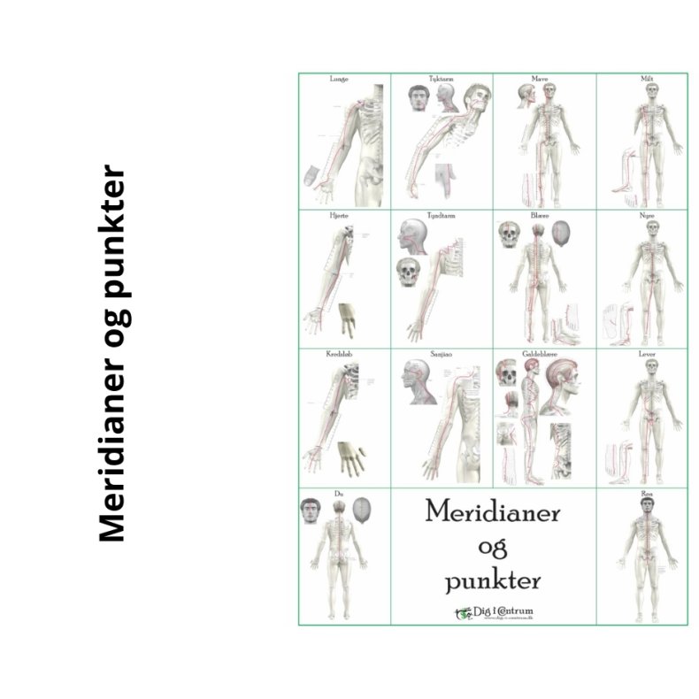 Meridianer &amp; Punkter