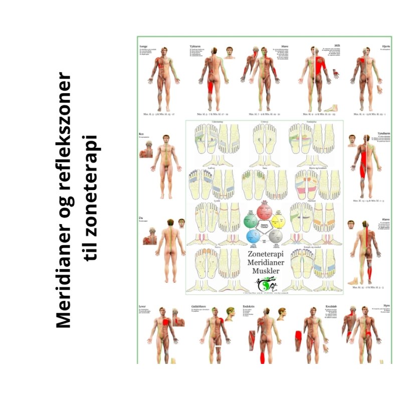 Meridianer og reflekszoner til zone