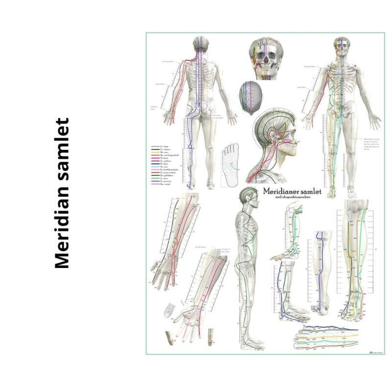 Meridianer samlet med akupunkturpunkter